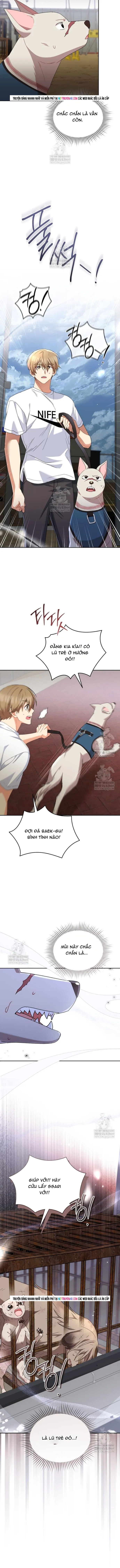 Trang 12 - Xin Chào! Bác Sĩ Thú Y