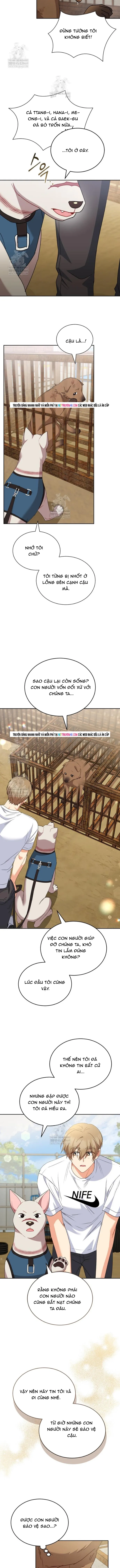 Trang 9 - Xin Chào! Bác Sĩ Thú Y