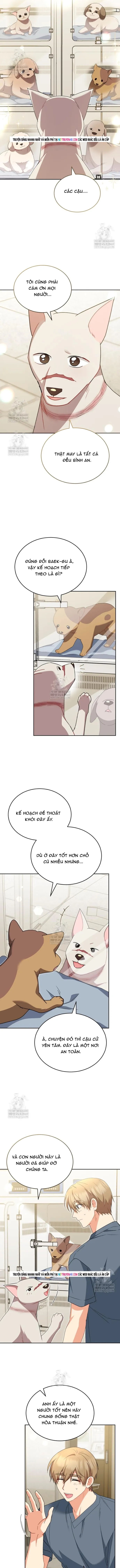 Trang 6 - Xin Chào! Bác Sĩ Thú Y