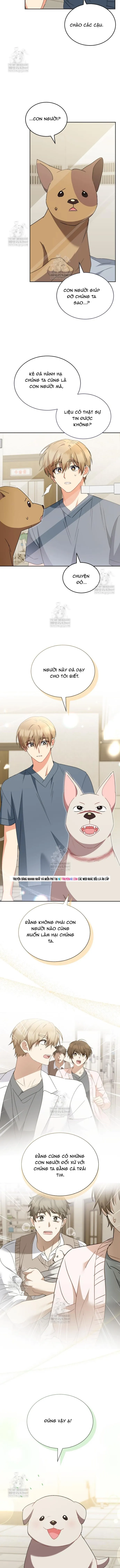 Trang 7 - Xin Chào! Bác Sĩ Thú Y