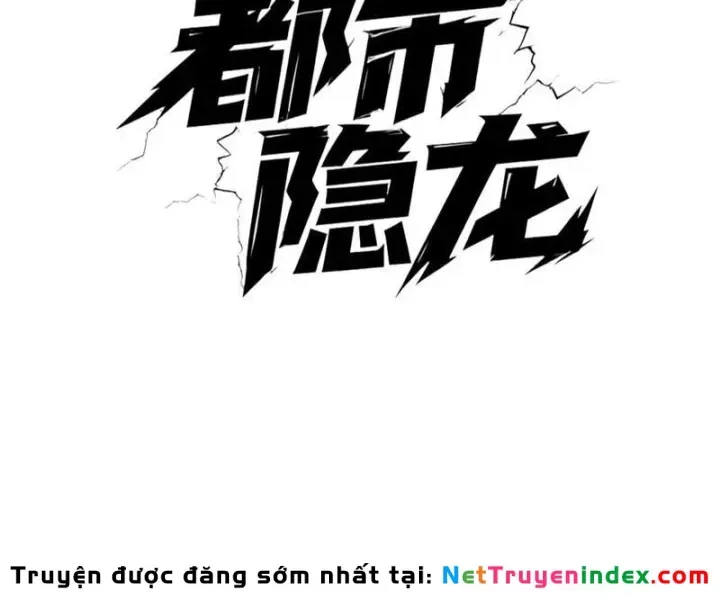 Ẩn Long Đô Thị Chương 40 - Trang 40