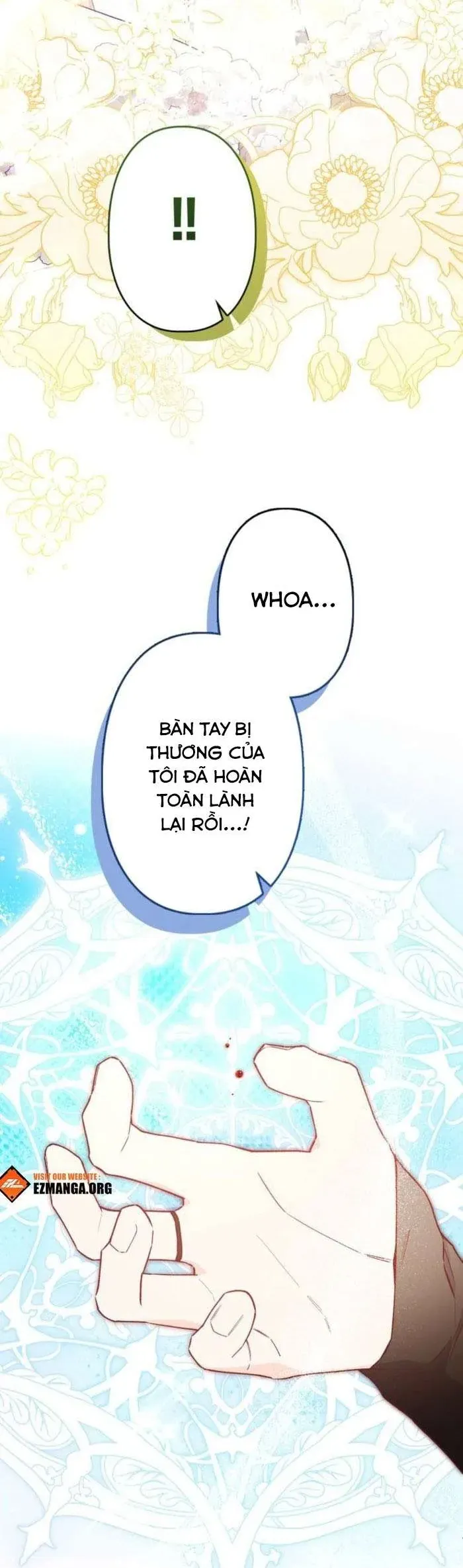 kiep-nay-em-se-khong-song-duoi-cai-bong-cua-nguoi-chi-song-sinh-21