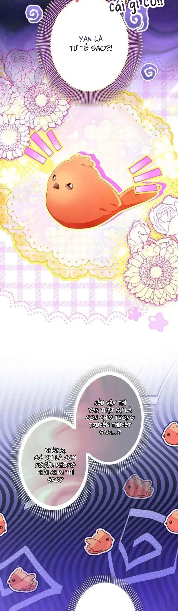 kiep-nay-em-se-khong-song-duoi-cai-bong-cua-nguoi-chi-song-sinh-43