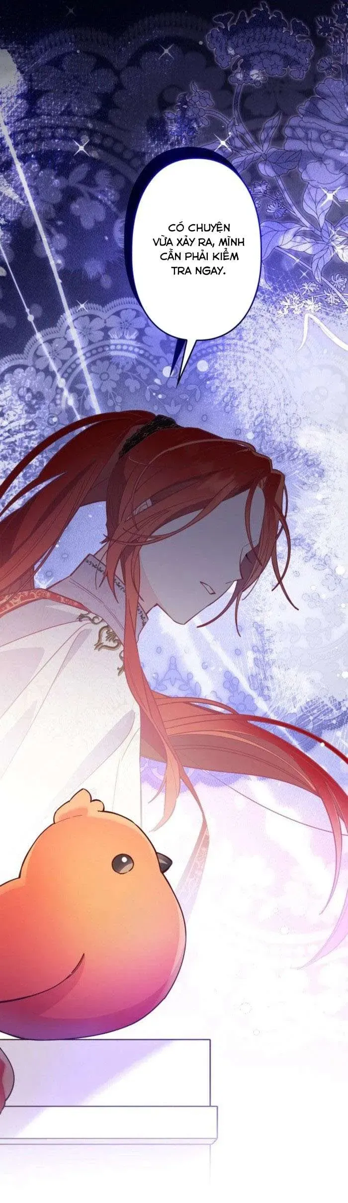 kiep-nay-em-se-khong-song-duoi-cai-bong-cua-nguoi-chi-song-sinh-26