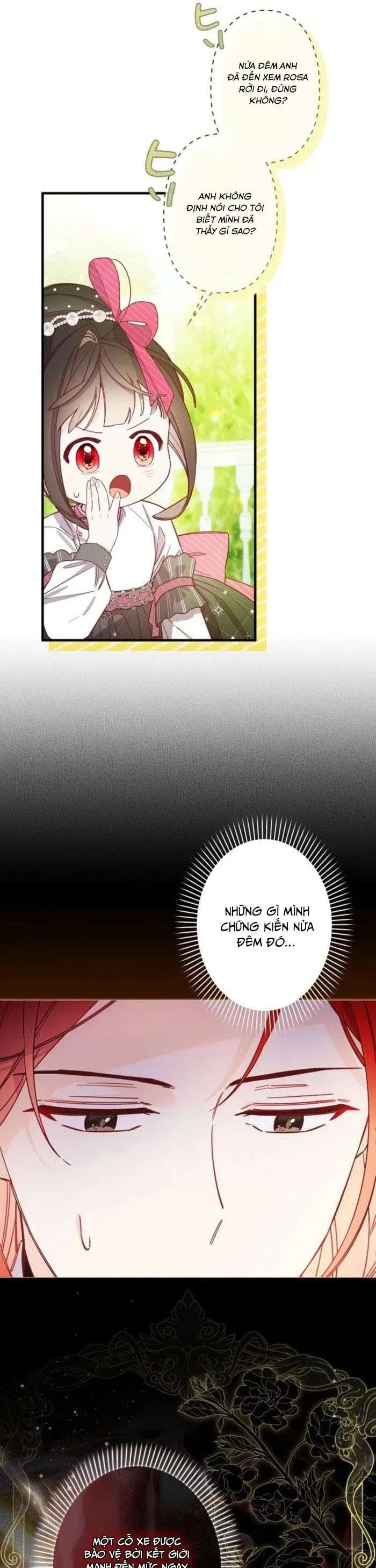 kiep-nay-em-se-khong-song-duoi-cai-bong-cua-nguoi-chi-song-sinh-45