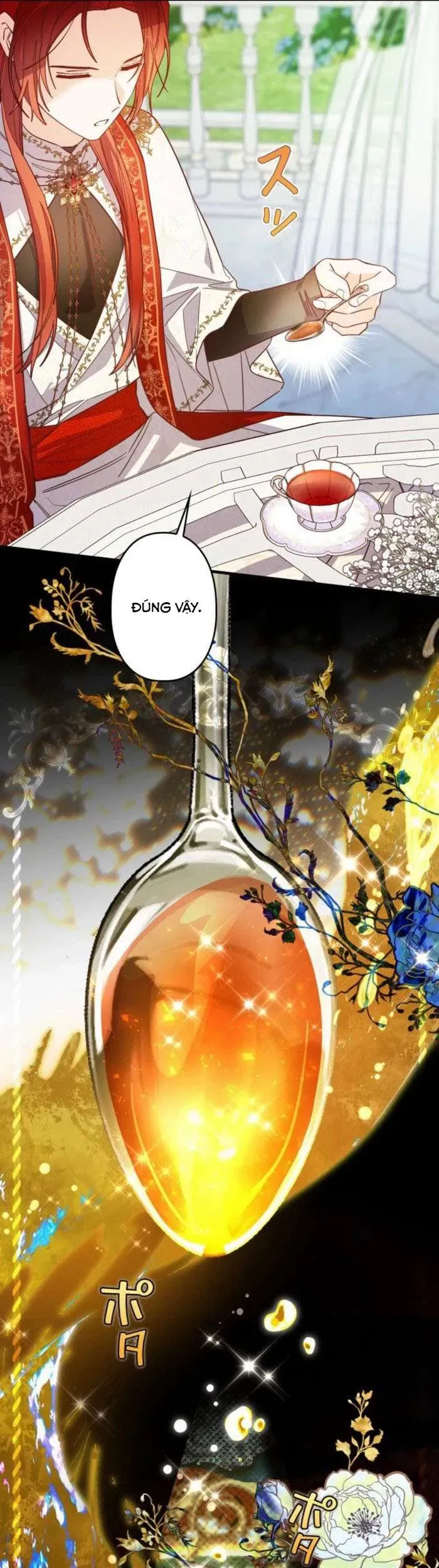 kiep-nay-em-se-khong-song-duoi-cai-bong-cua-nguoi-chi-song-sinh-16