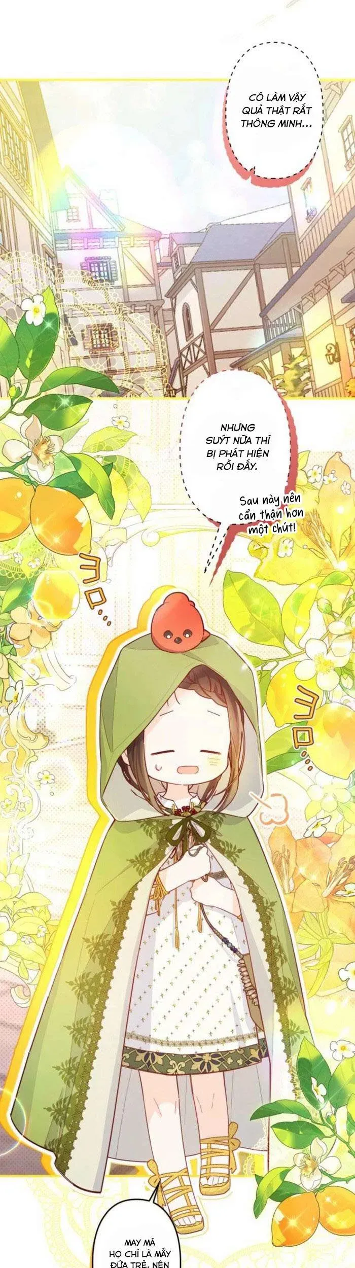 kiep-nay-em-se-khong-song-duoi-cai-bong-cua-nguoi-chi-song-sinh-38