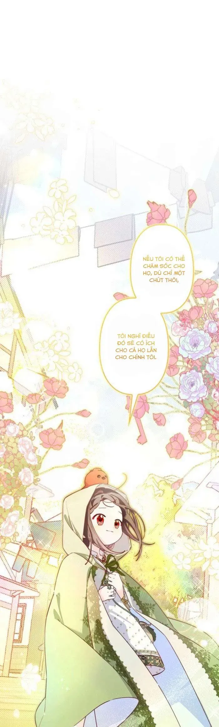 kiep-nay-em-se-khong-song-duoi-cai-bong-cua-nguoi-chi-song-sinh-41