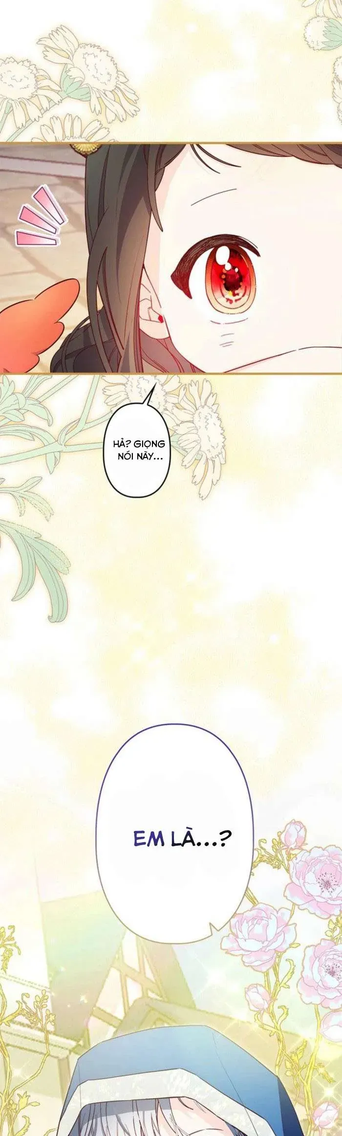 kiep-nay-em-se-khong-song-duoi-cai-bong-cua-nguoi-chi-song-sinh-47