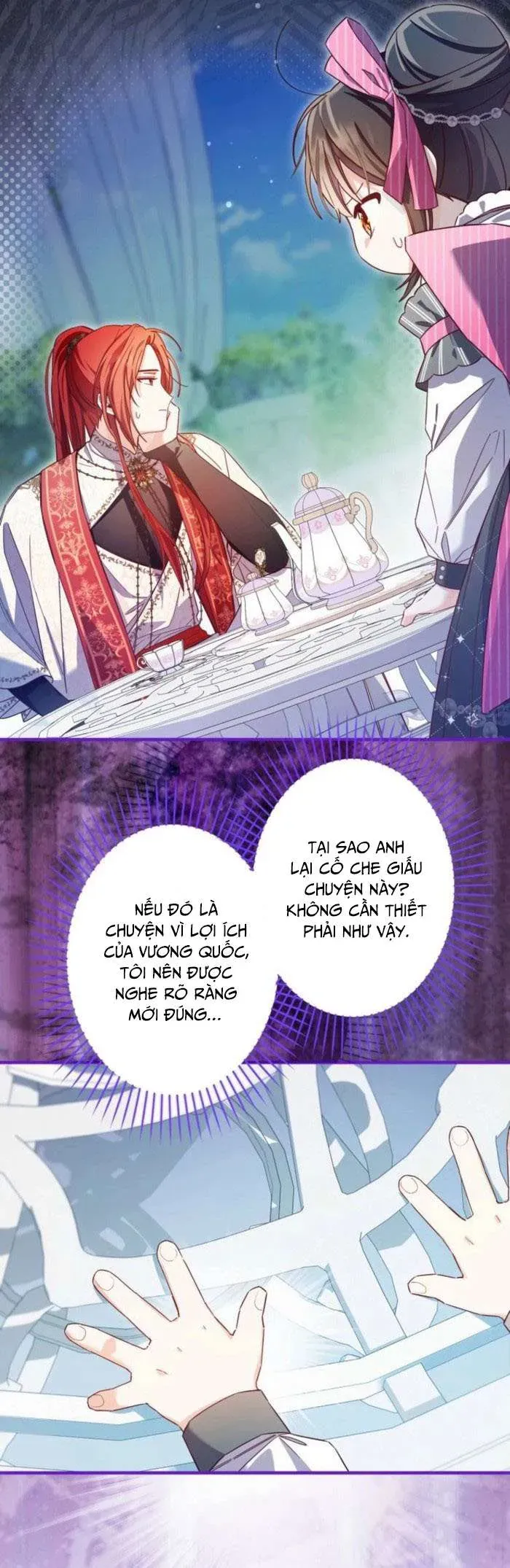 kiep-nay-em-se-khong-song-duoi-cai-bong-cua-nguoi-chi-song-sinh-5