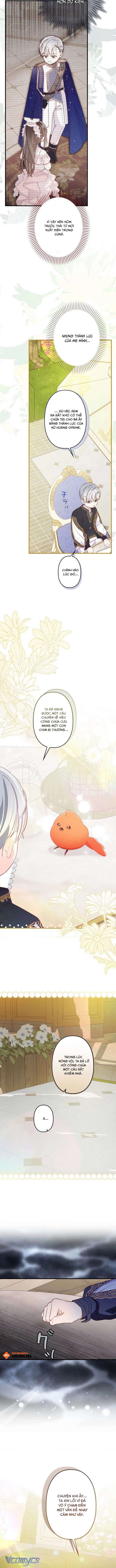 kiep-nay-em-se-khong-song-duoi-cai-bong-cua-nguoi-chi-song-sinh-11