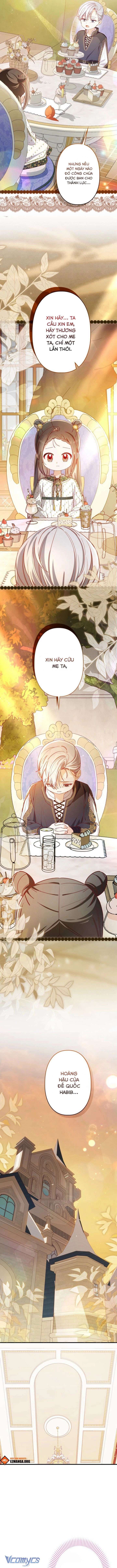 kiep-nay-em-se-khong-song-duoi-cai-bong-cua-nguoi-chi-song-sinh-12