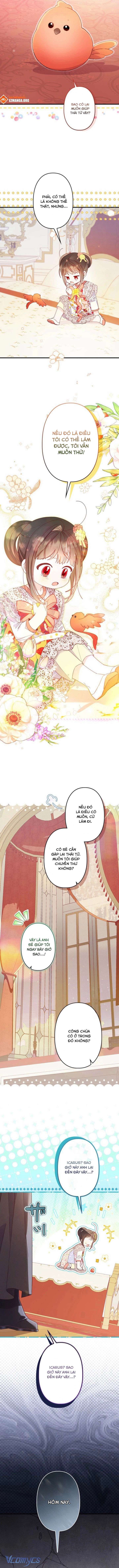 kiep-nay-em-se-khong-song-duoi-cai-bong-cua-nguoi-chi-song-sinh-14