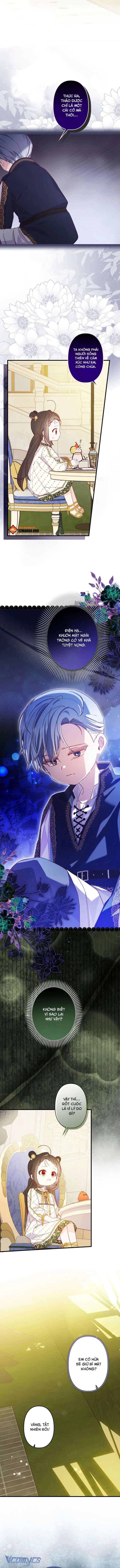 kiep-nay-em-se-khong-song-duoi-cai-bong-cua-nguoi-chi-song-sinh-9