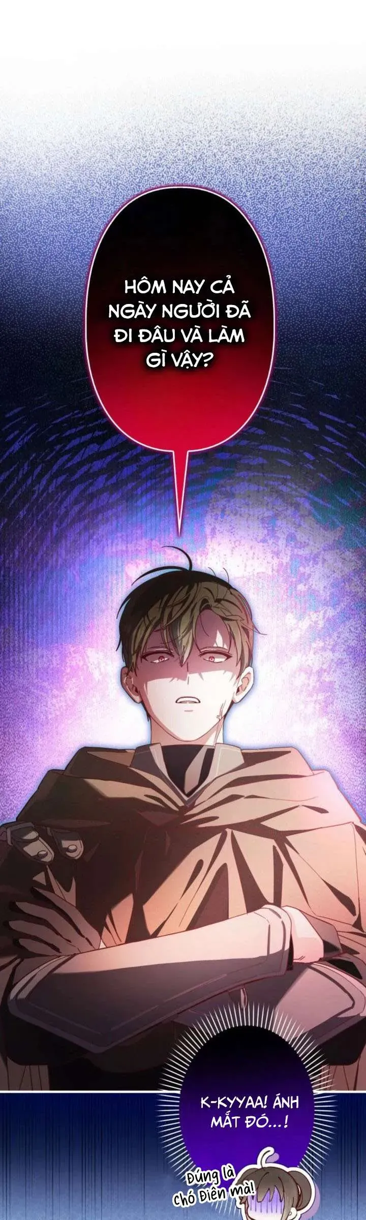 kiep-nay-em-se-khong-song-duoi-cai-bong-cua-nguoi-chi-song-sinh-2