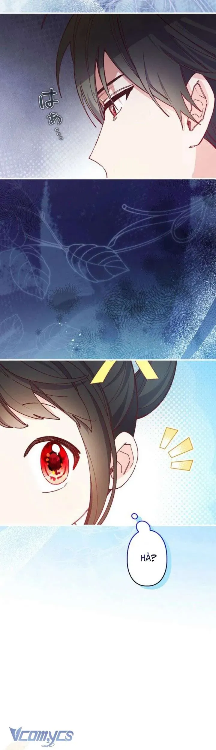 kiep-nay-em-se-khong-song-duoi-cai-bong-cua-nguoi-chi-song-sinh-9