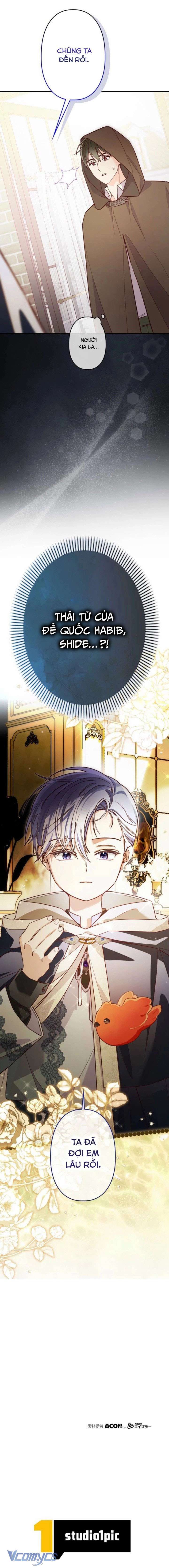 kiep-nay-em-se-khong-song-duoi-cai-bong-cua-nguoi-chi-song-sinh-16