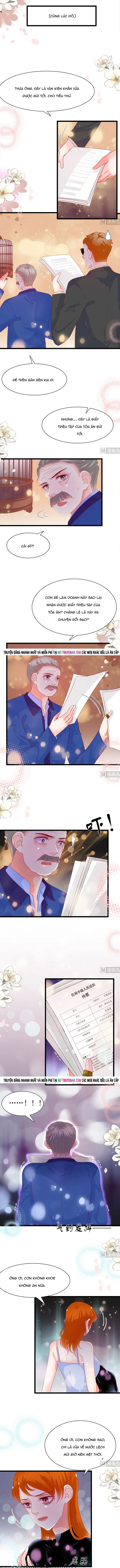 Chu Tiên Sinh Ép Cưới Phạm Pháp Đó [Chap 196-197]