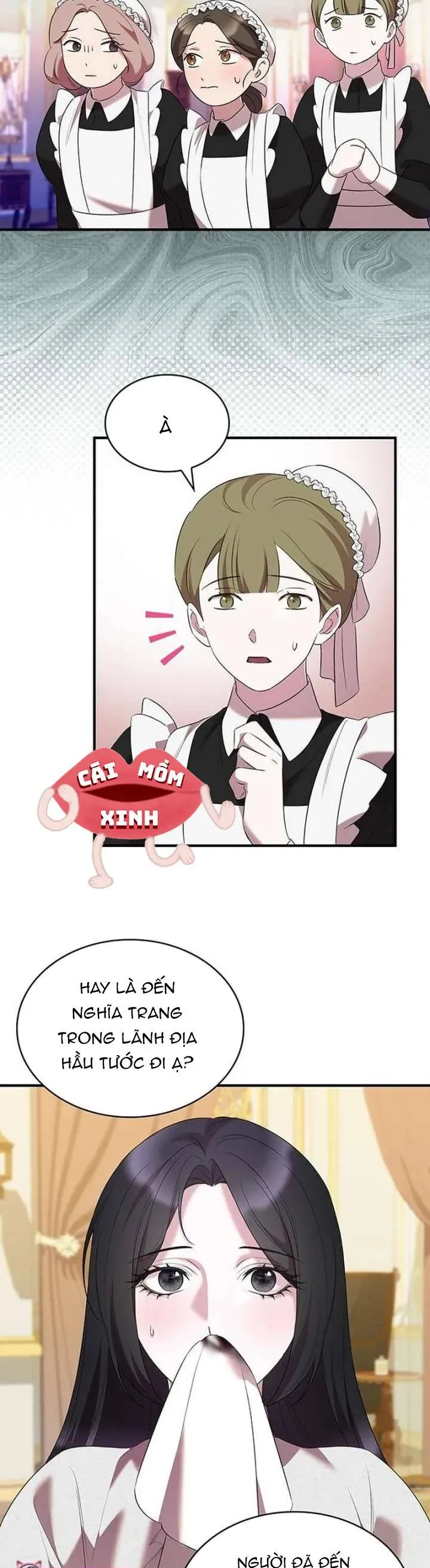 Vào Ngày Mà Chị Gái Tôi Qua Đời