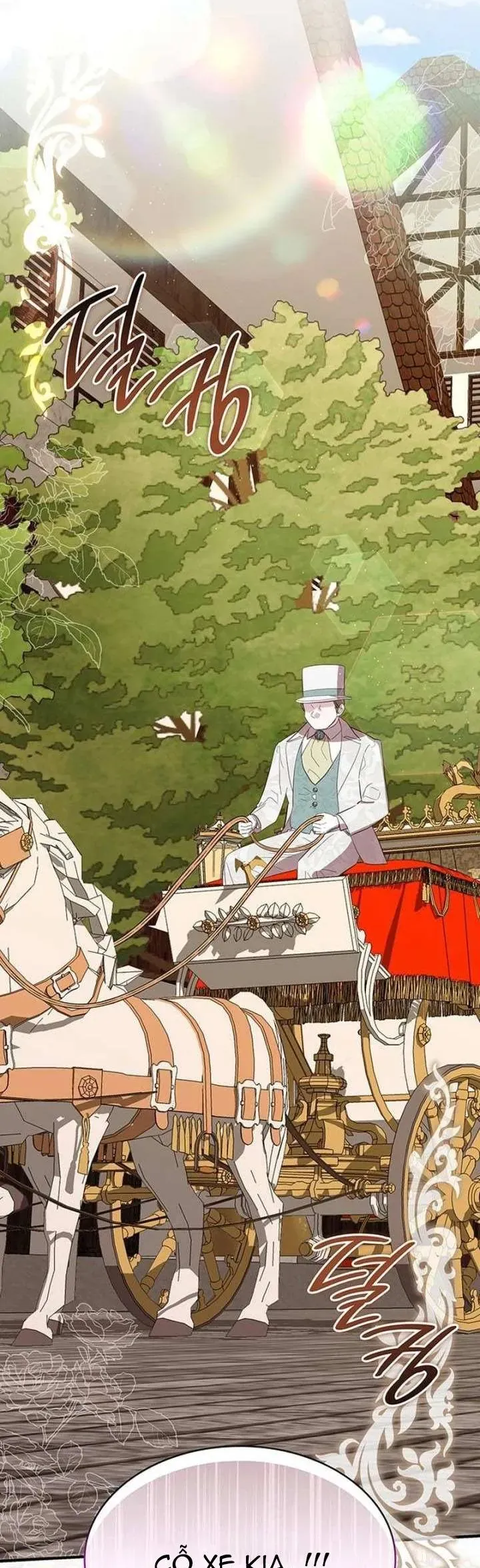 Vào Ngày Mà Chị Gái Tôi Qua Đời