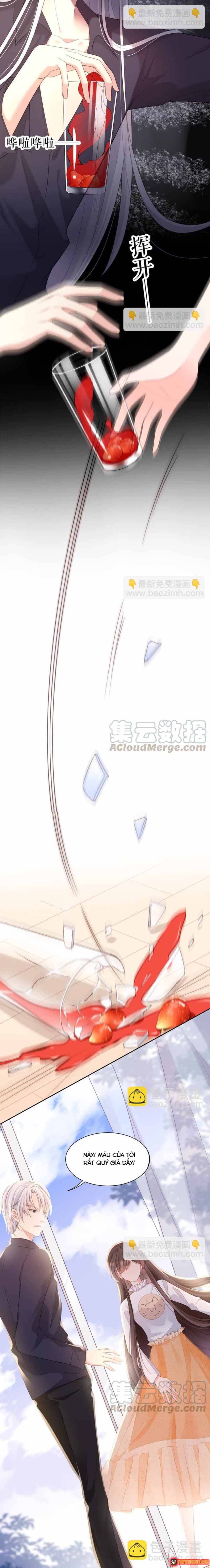 ngan-nam-bao-ho-dai-nhan-2