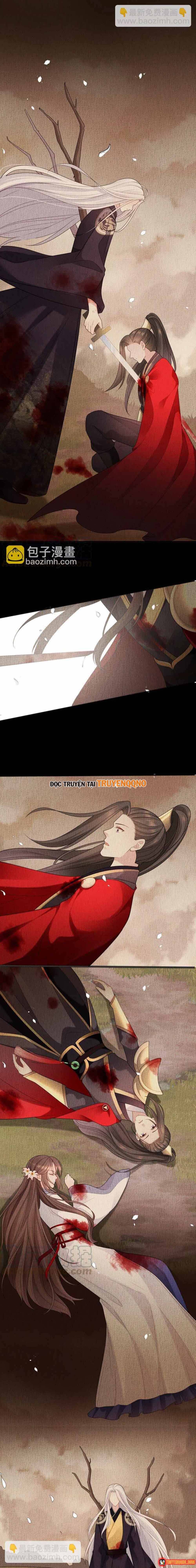 ngan-nam-bao-ho-dai-nhan-5