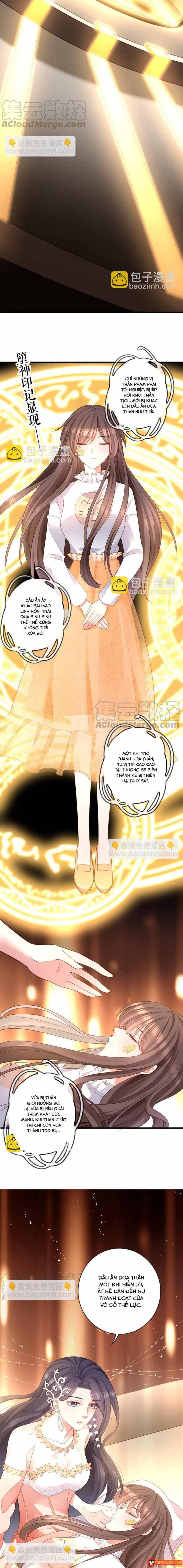 ngan-nam-bao-ho-dai-nhan-7