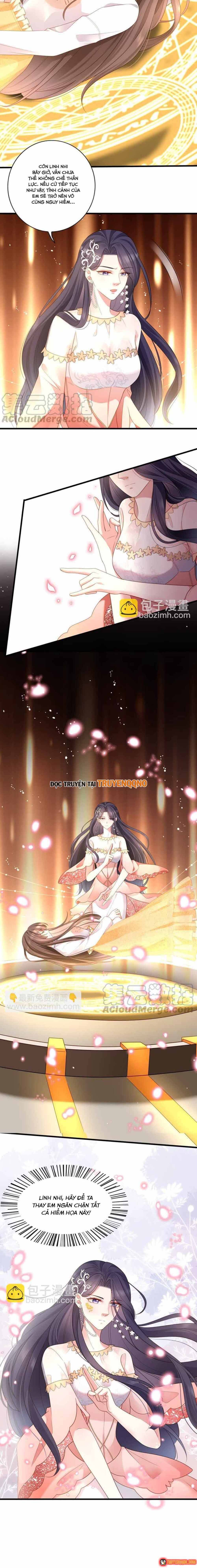 ngan-nam-bao-ho-dai-nhan-8