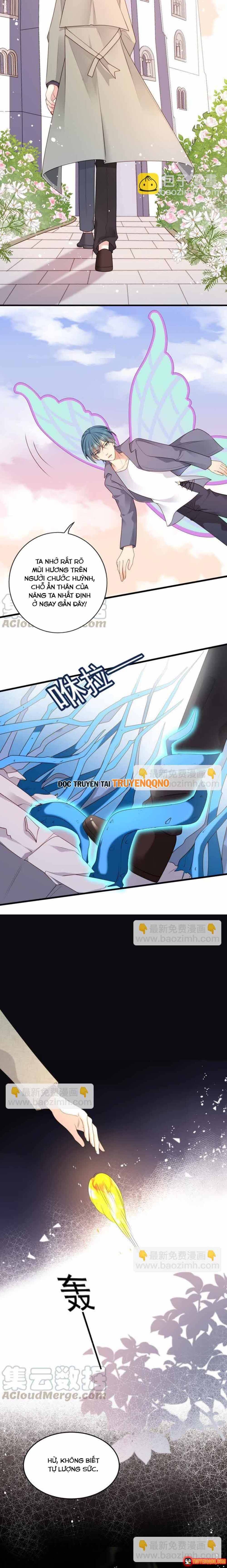 ngan-nam-bao-ho-dai-nhan-3