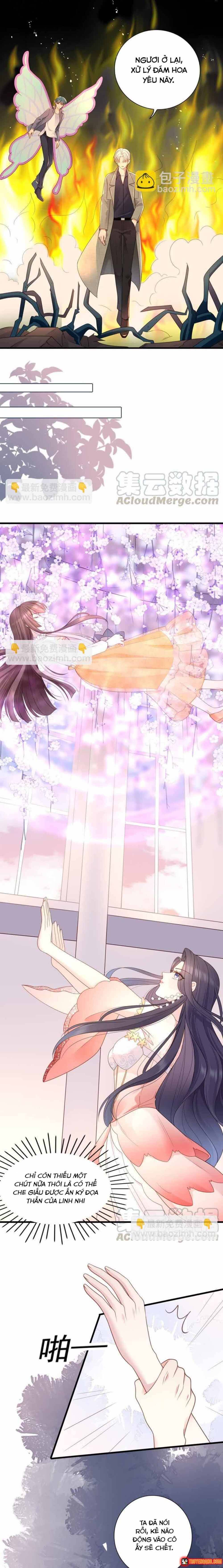 ngan-nam-bao-ho-dai-nhan-4