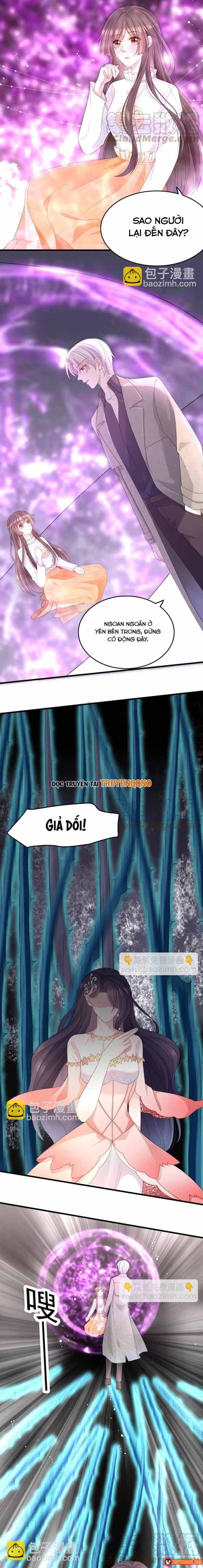 ngan-nam-bao-ho-dai-nhan-8