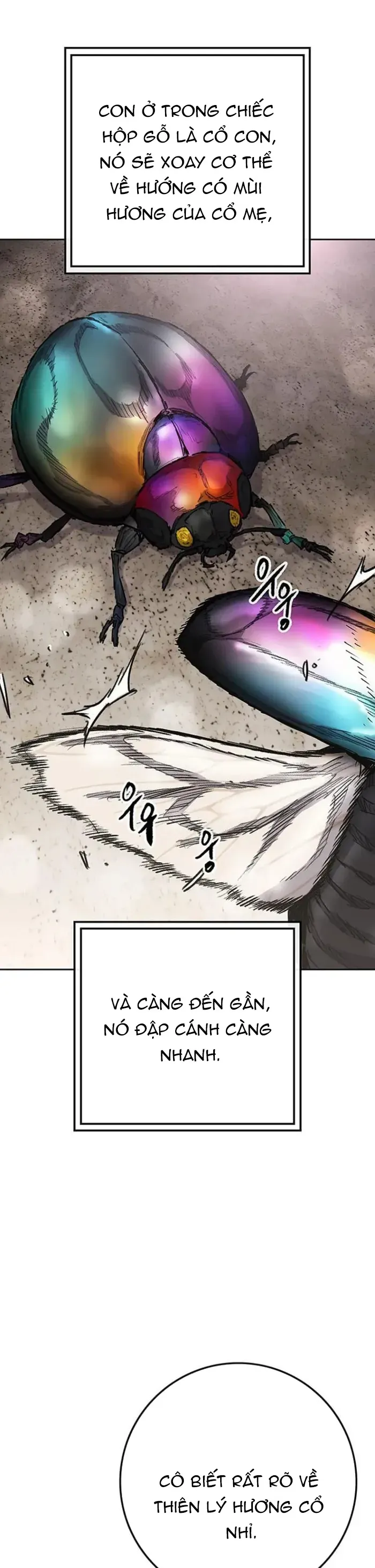 Tiên Kiếm Bất Bại