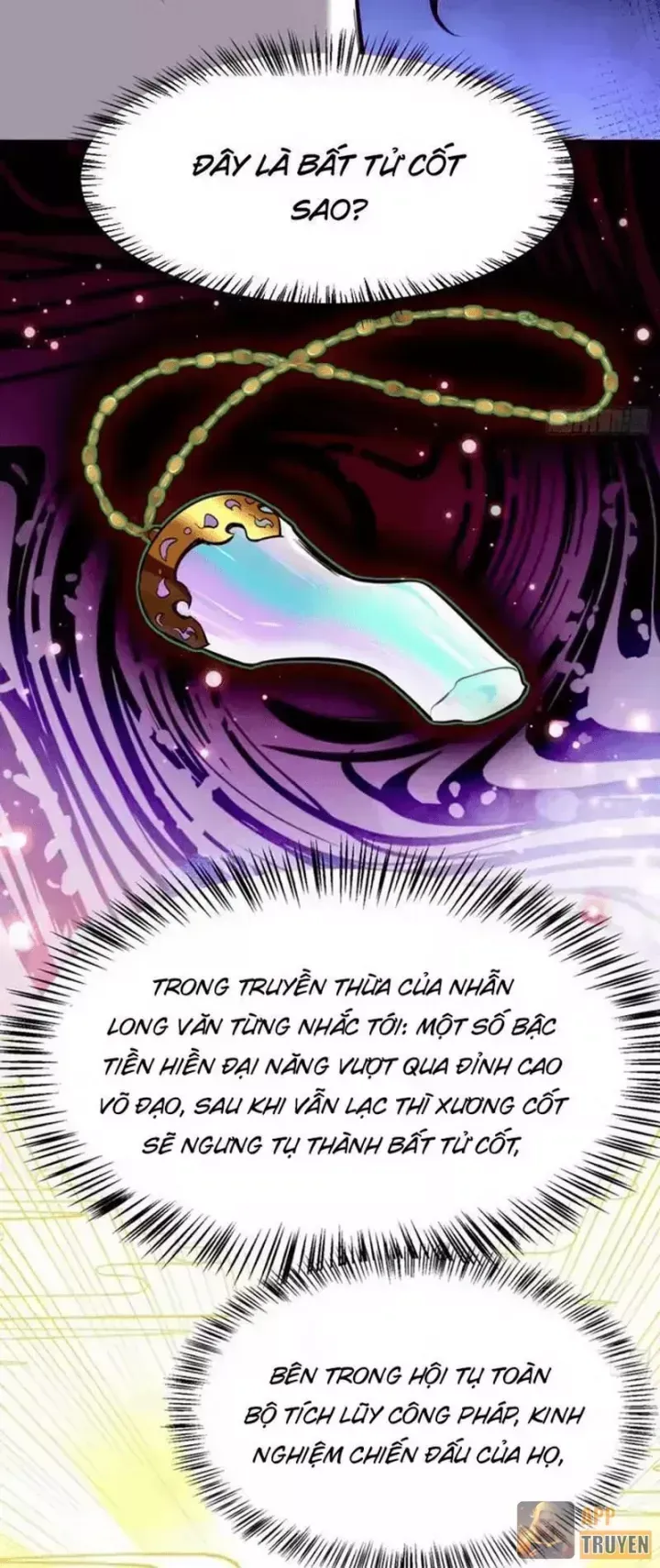 tau-tu-ta-that-khong-phai-ke-ngoc-30