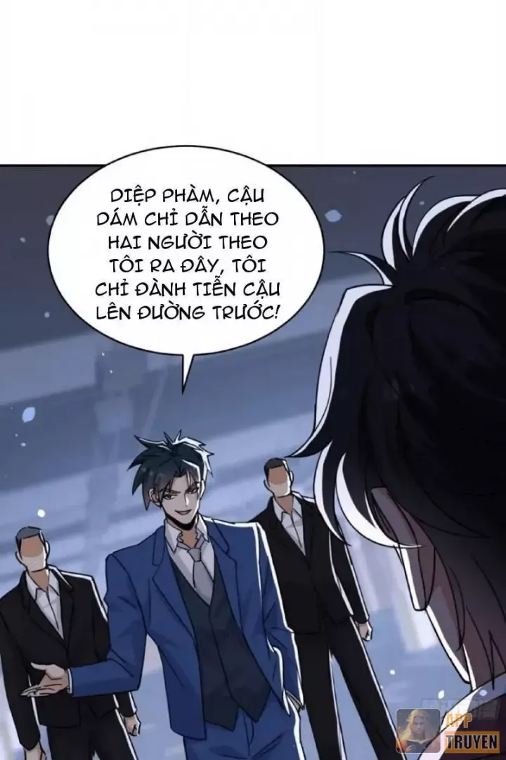 tau-tu-ta-that-khong-phai-ke-ngoc-4