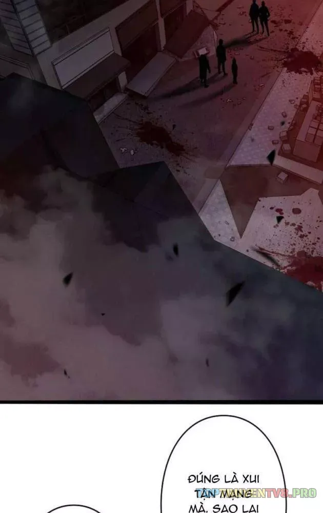 Hồi Quy: Tận Thế Báo Thù