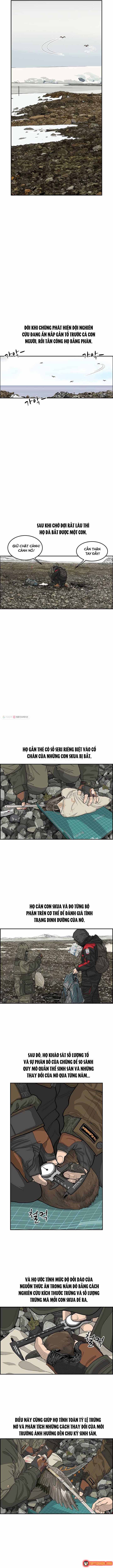 Cá Con (Vảy Cá) Chương 33 - Trang 3