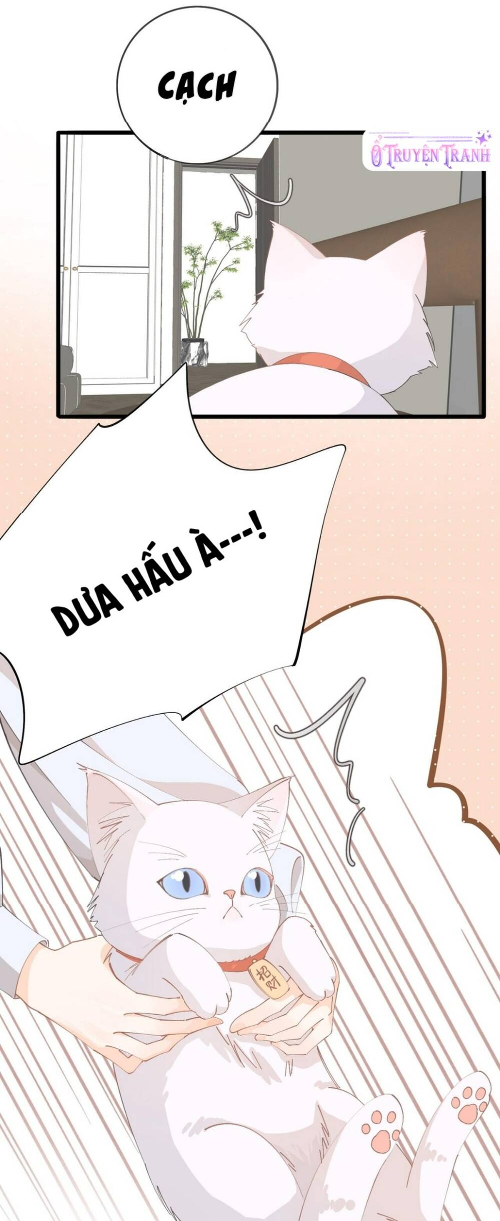 chi-gai-lai-toang-nua-roi-3