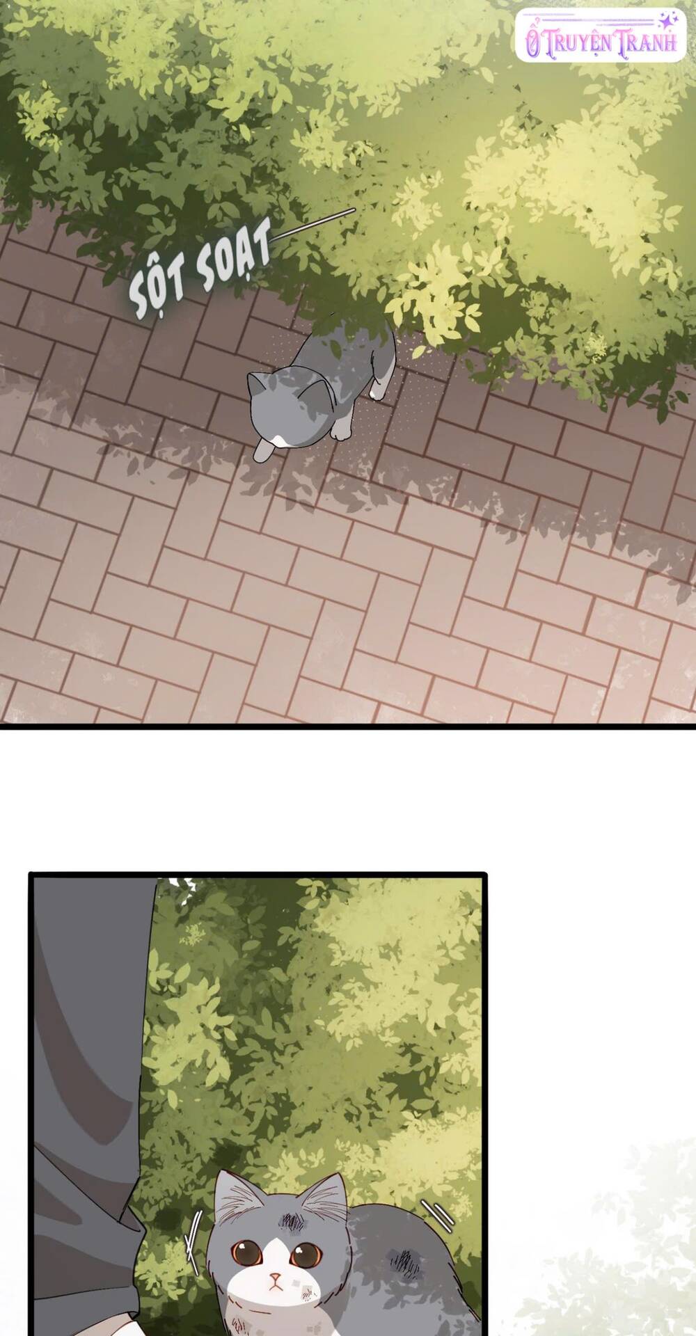 chi-gai-lai-toang-nua-roi-8