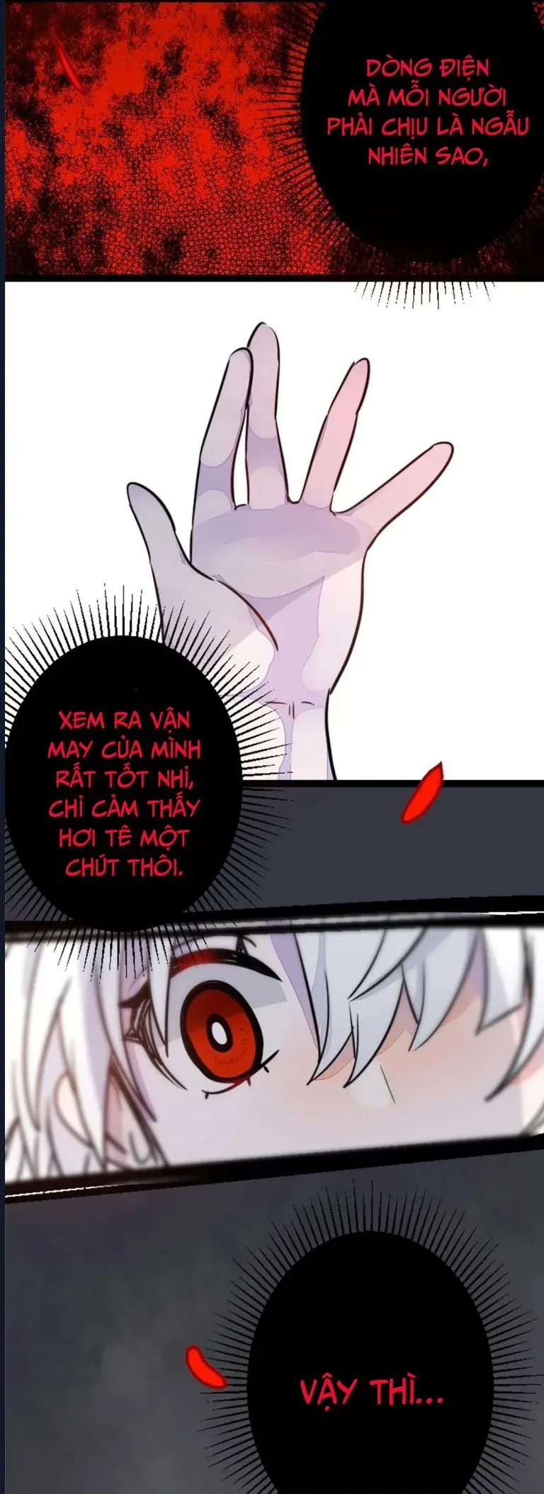 Ai Đã Giết Con Thỏ?