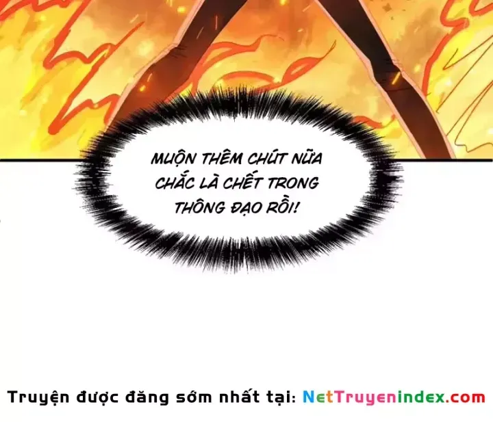 Tôi Dùng Hệ Thống Đỉnh Cấp Tái Tạo Thế Giới