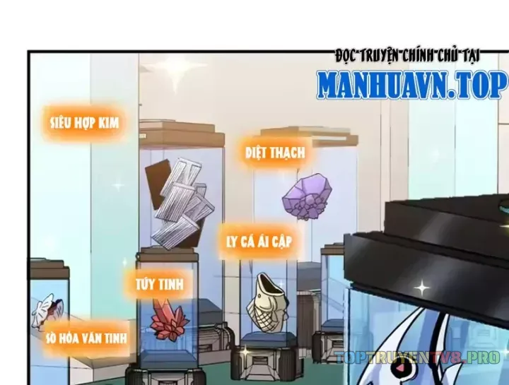 Tôi Dùng Hệ Thống Đỉnh Cấp Tái Tạo Thế Giới