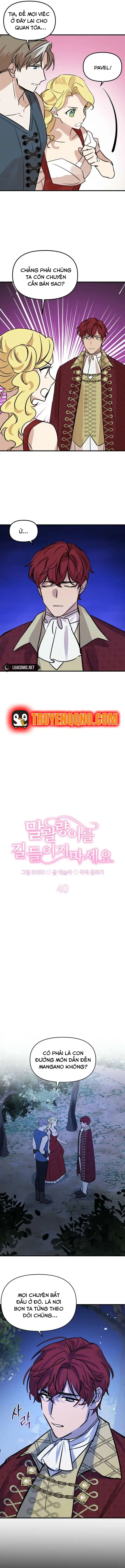 Đừng Thuần Hóa Cô Nàng Đanh Đá