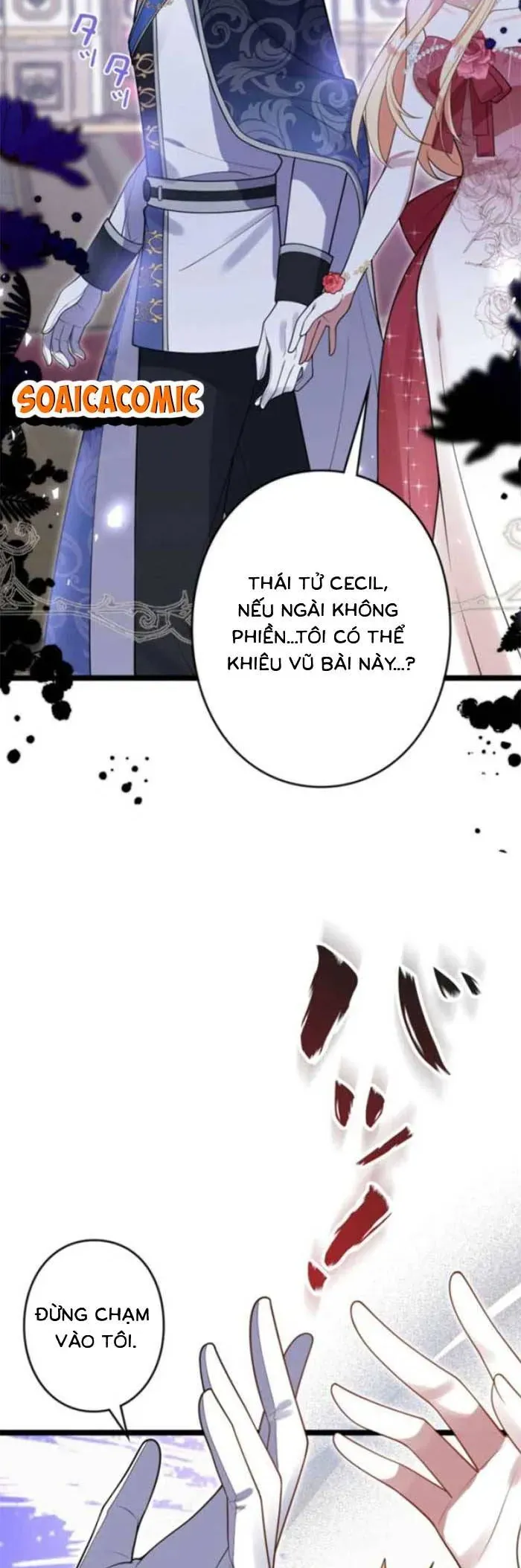 me-don-than-va-noi-am-anh-cua-thai-tu-13