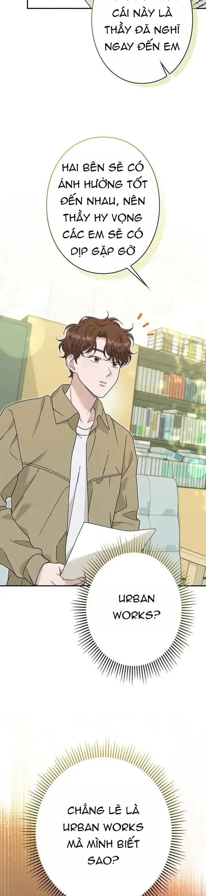 su-tai-sinh-cua-nha-thiet-ke-tai-ba-38