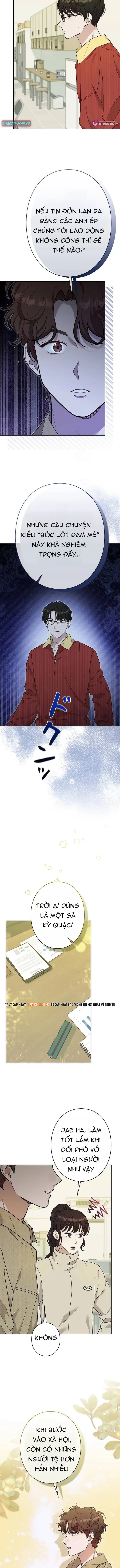 nha-thiet-ke-thien-tai-hoi-quy-7