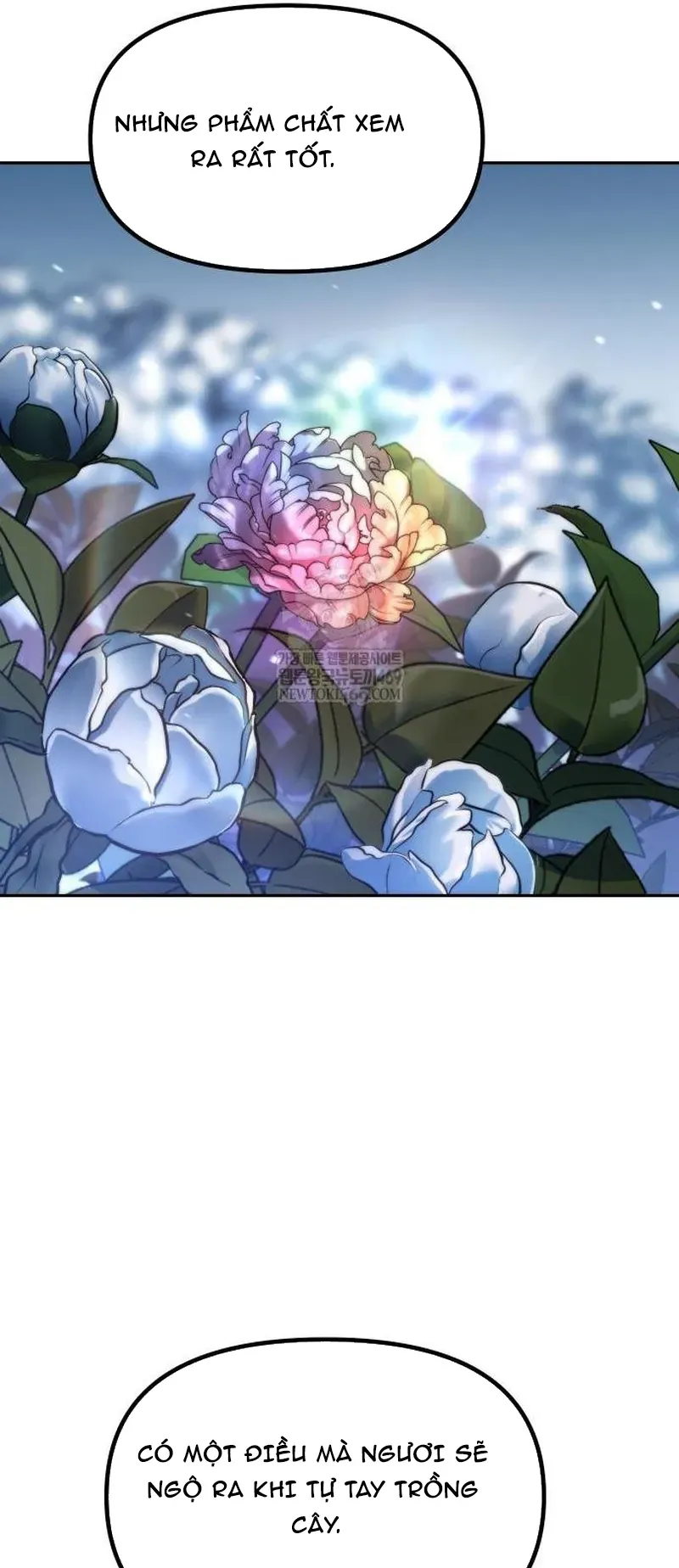 ma-dao-chuyen-sinh-ky-11