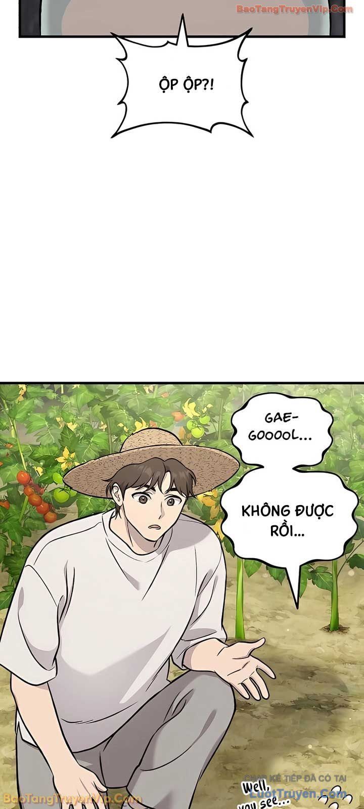 lam-nong-dan-trong-toa-thap-thu-thach-6