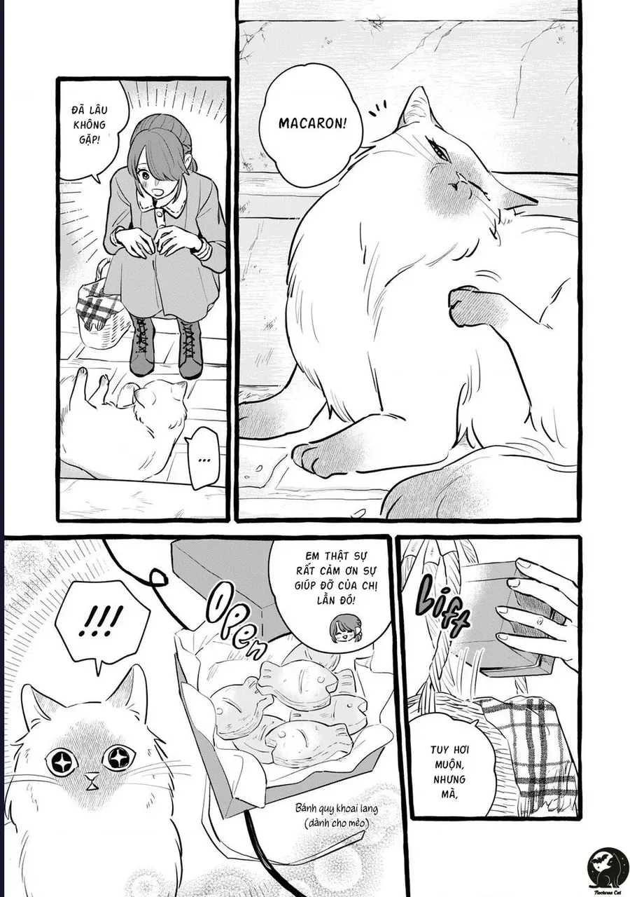 lieu-co-the-tim-duoc-mot-cong-viec-lau-dai-khong-bat-dau-cuoc-song-moi-voi-mot-vi-phap-su-it-noi-va-kho-gan-22