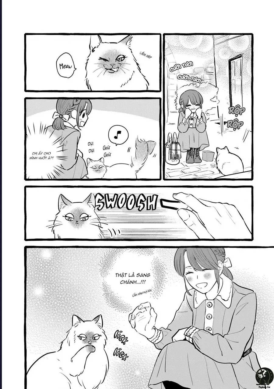 lieu-co-the-tim-duoc-mot-cong-viec-lau-dai-khong-bat-dau-cuoc-song-moi-voi-mot-vi-phap-su-it-noi-va-kho-gan-23