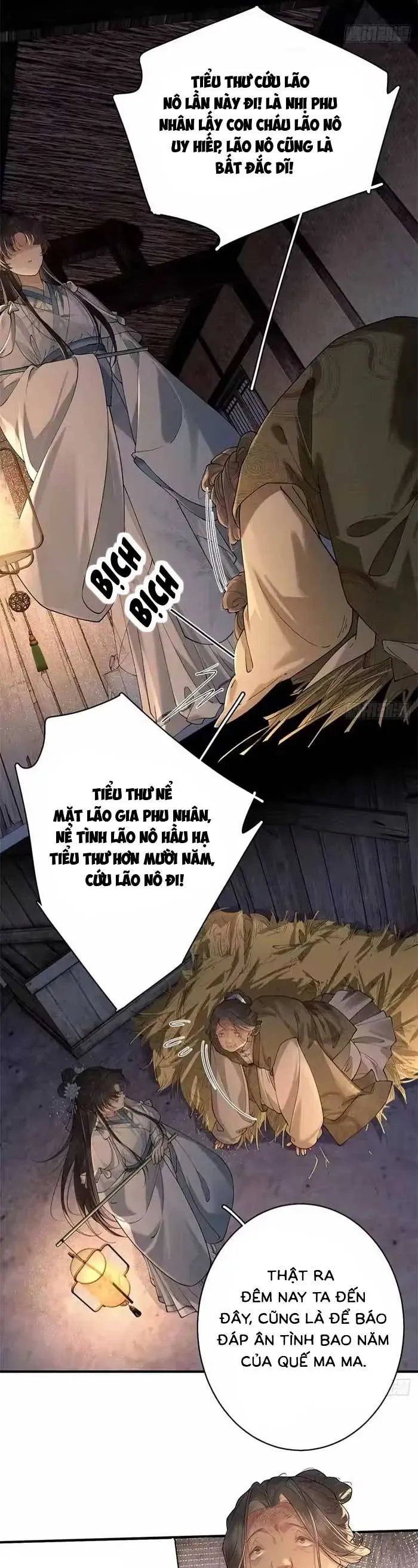 dinh-menh-sau-cu-dam-nham-8